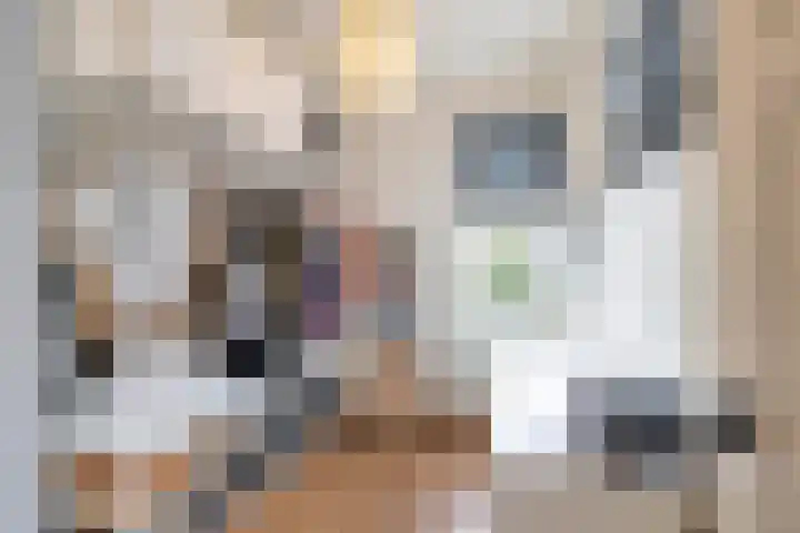 Driemolendrift 16 b Groningen thumbnail 20