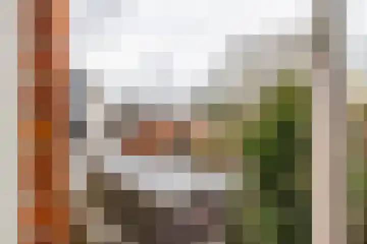 Driemolendrift 16 b Groningen thumbnail 26