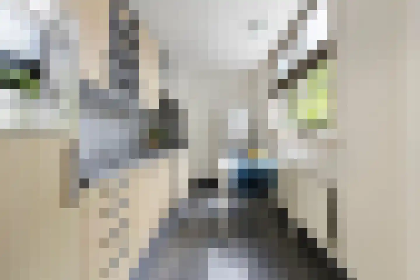 Driemolendrift 20 Groningen thumbnail 21