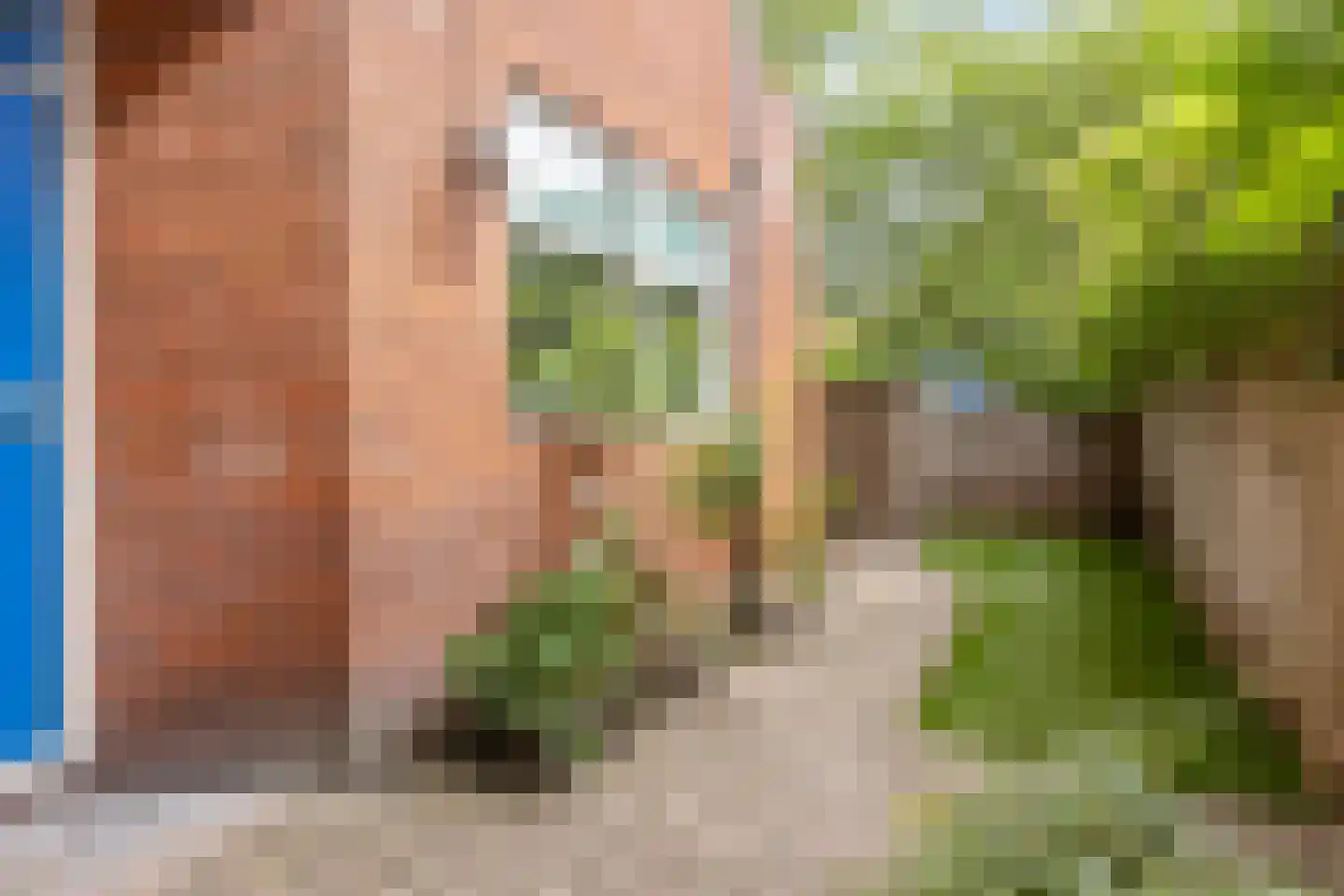 Driemolendrift 20 Groningen thumbnail 24