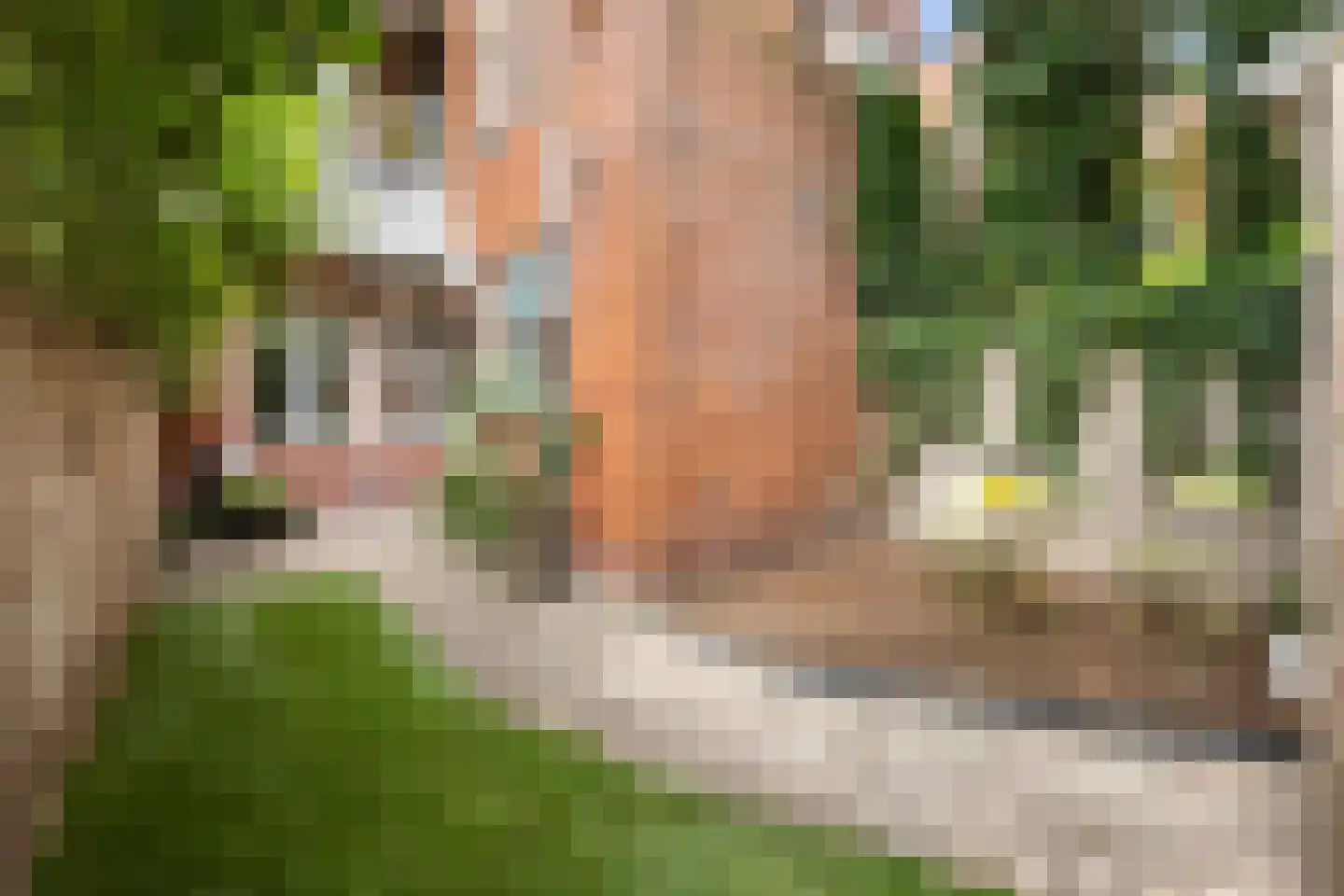 Driemolendrift 20 Groningen thumbnail 26