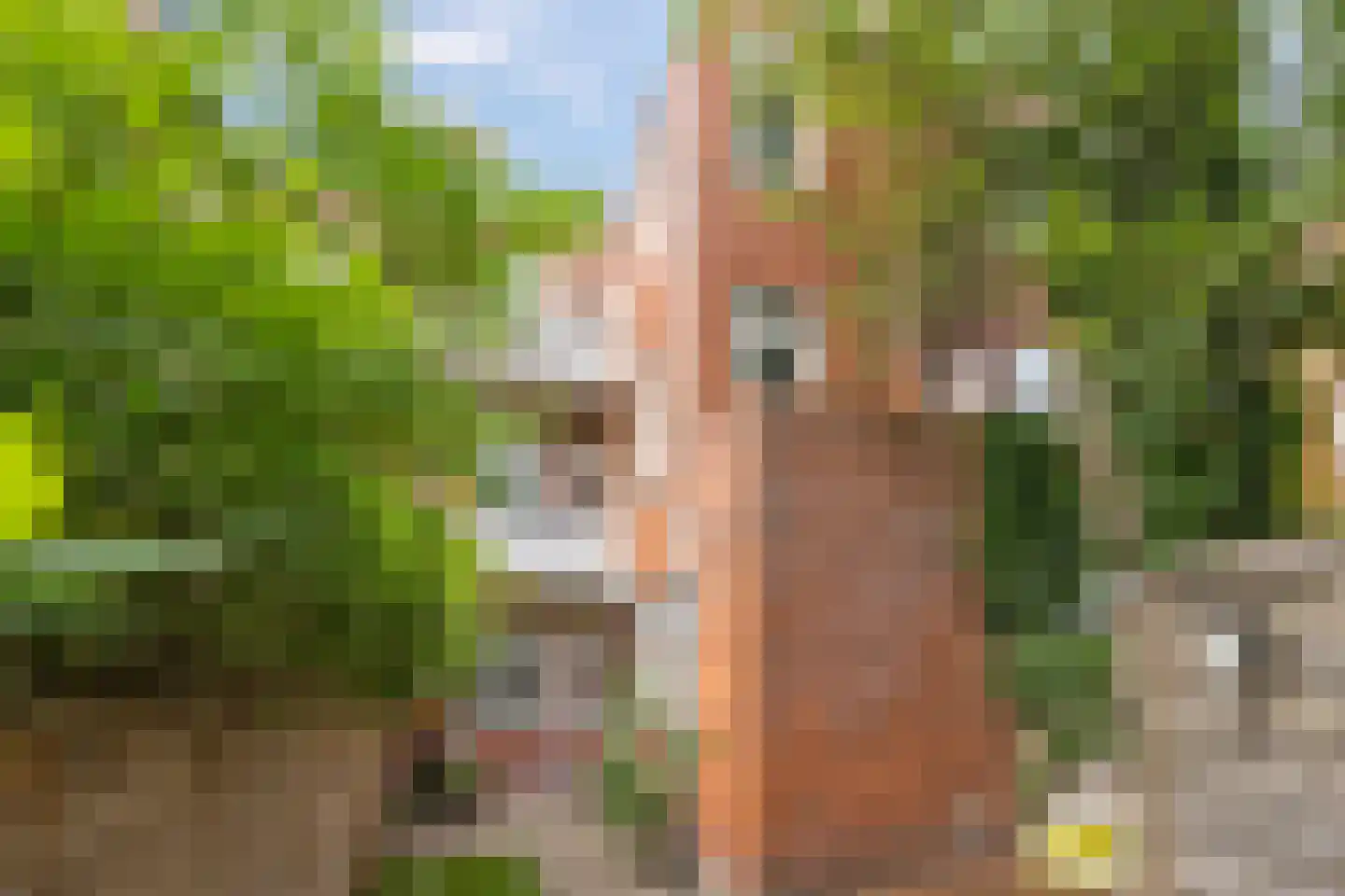 Driemolendrift 20 Groningen thumbnail 27