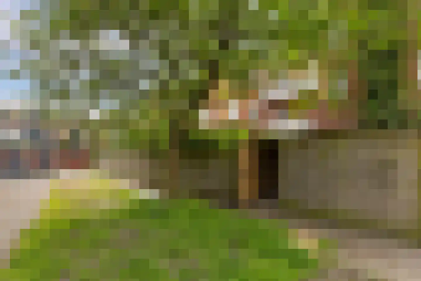 Driemolendrift 20 Groningen thumbnail 28