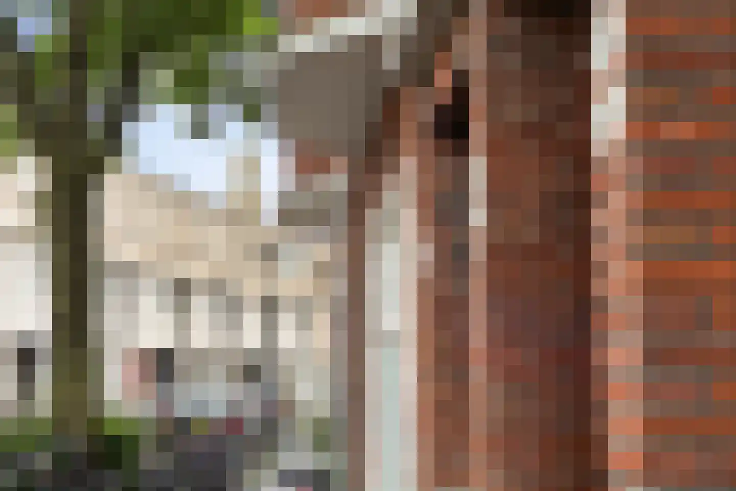 Driemolendrift 20 Groningen thumbnail 7