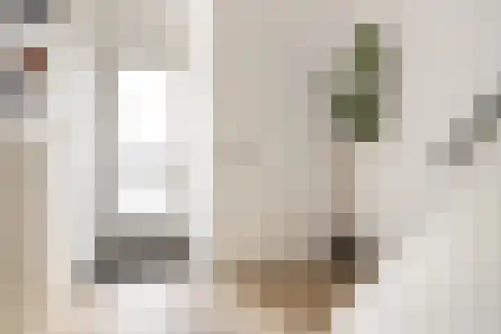 Driemolenslaan 2 Muntendam thumbnail 14