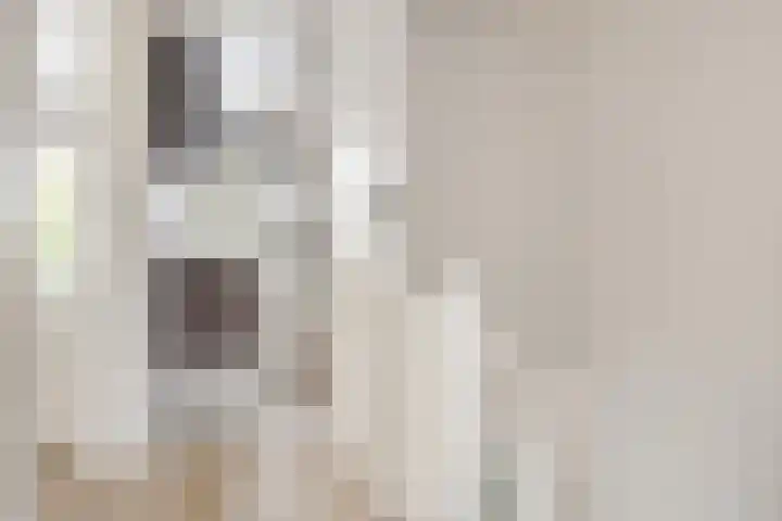 Driemolenslaan 2 Muntendam thumbnail 23