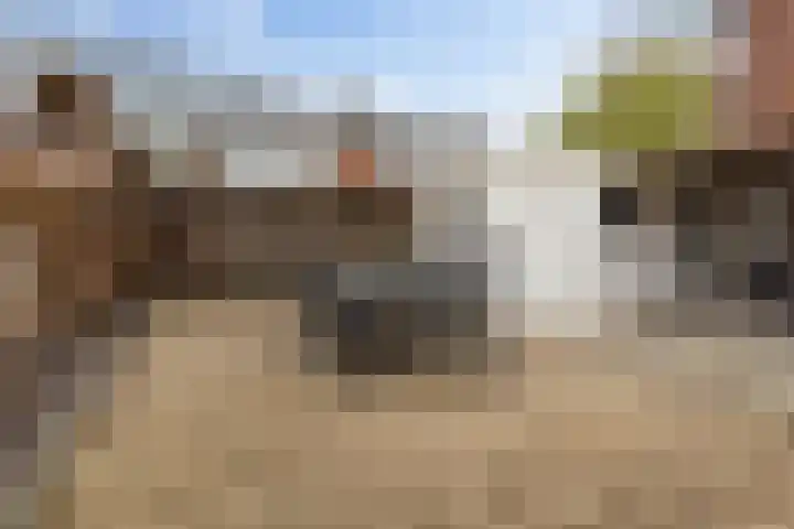 Driemolenslaan 2 Muntendam thumbnail 28