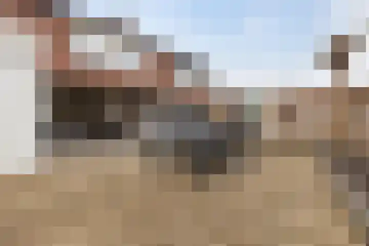 Driemolenslaan 2 Muntendam thumbnail 29