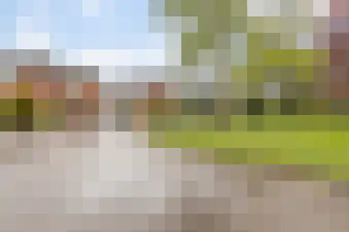 Driemolenslaan 2 Muntendam thumbnail 33