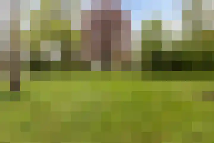 Driemolenslaan 2 Muntendam thumbnail 34