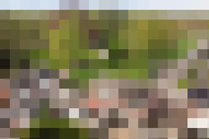 Driemolenslaan 2 Muntendam thumbnail 37