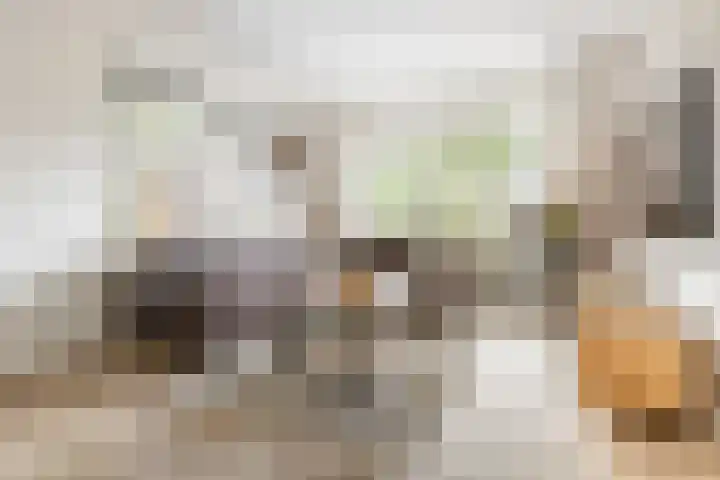 Driemolenslaan 2 Muntendam thumbnail 4