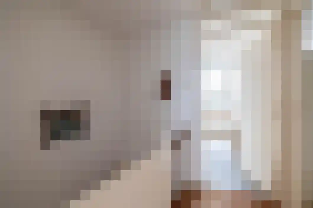 Driemolenslaan 27 Muntendam thumbnail 33