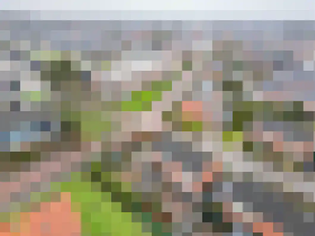 Driemolenslaan 27 Muntendam thumbnail 37