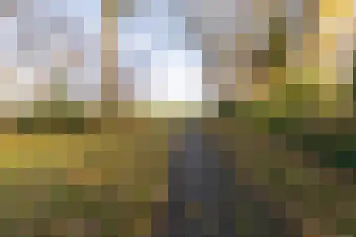 Driemolenslaan 33 Muntendam thumbnail 24