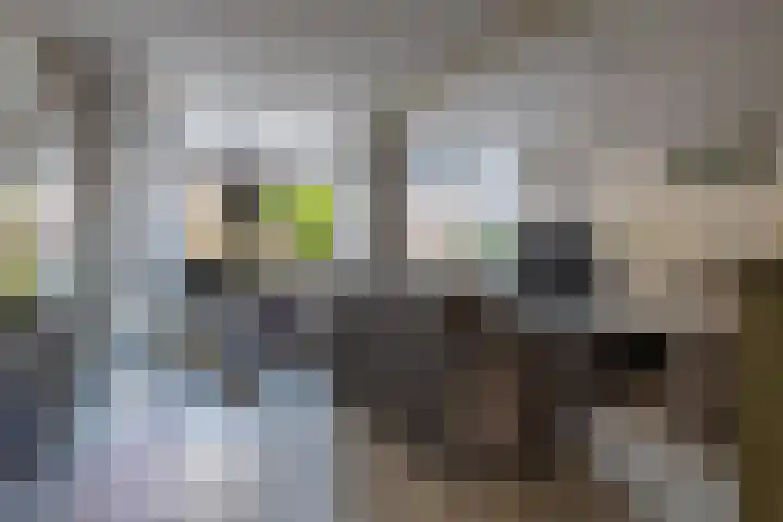 Driemolenslaan 33 Muntendam thumbnail 7