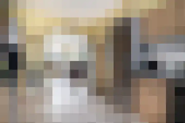 Driemolenslaan 47 Muntendam thumbnail 16