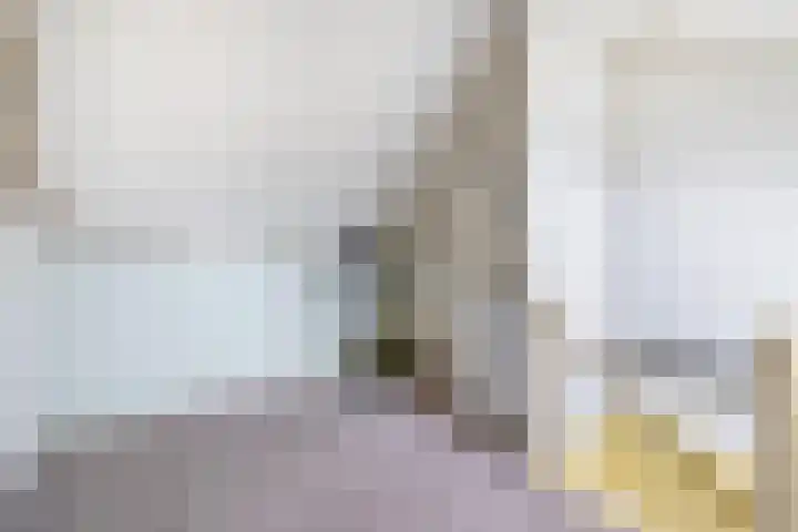 Driemolenslaan 47 Muntendam thumbnail 25
