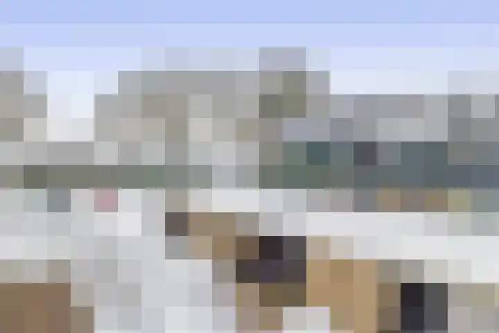 Driemolenslaan 47 Muntendam thumbnail 35