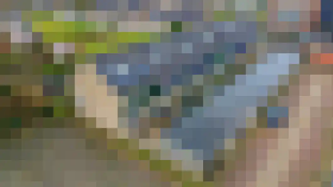 Driemolenslaan 47 Muntendam thumbnail 40