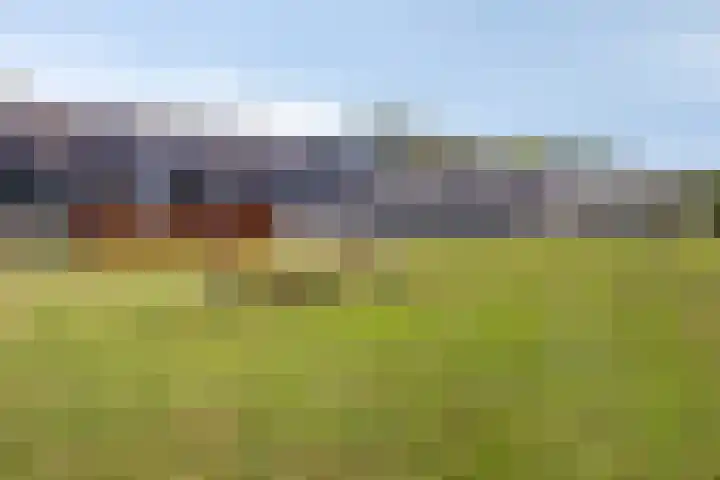 Driemolenslaan 52 Muntendam thumbnail 31