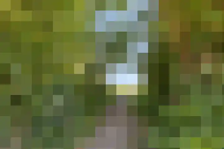 Driemolenslaan 52 Muntendam thumbnail 32