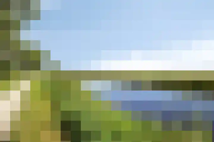 Driemolenslaan 52 Muntendam thumbnail 33