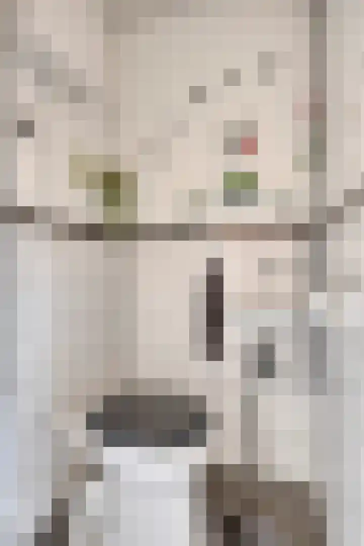 Driemolenslaan 52 Muntendam thumbnail 7