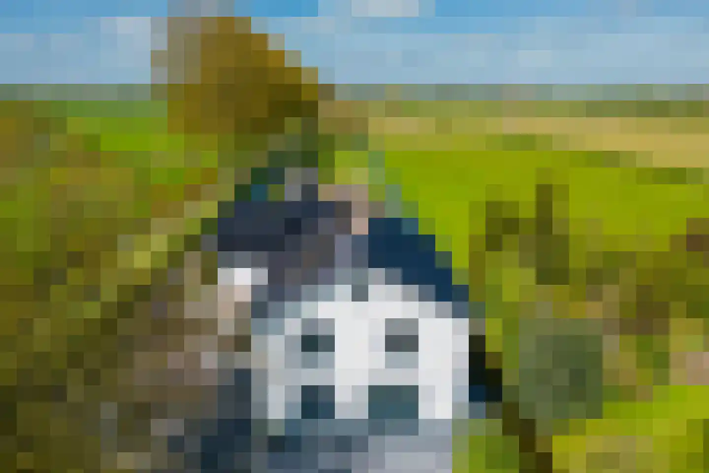 Driemolensweg 4 dans Lexmond