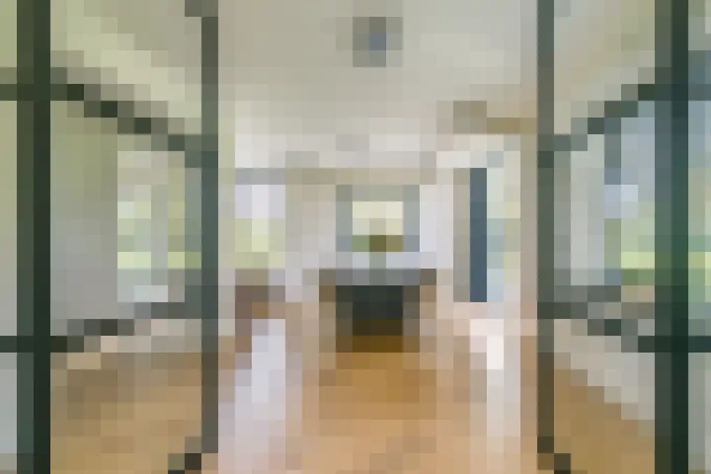 Driemolensweg 4 Lexmond thumbnail 11