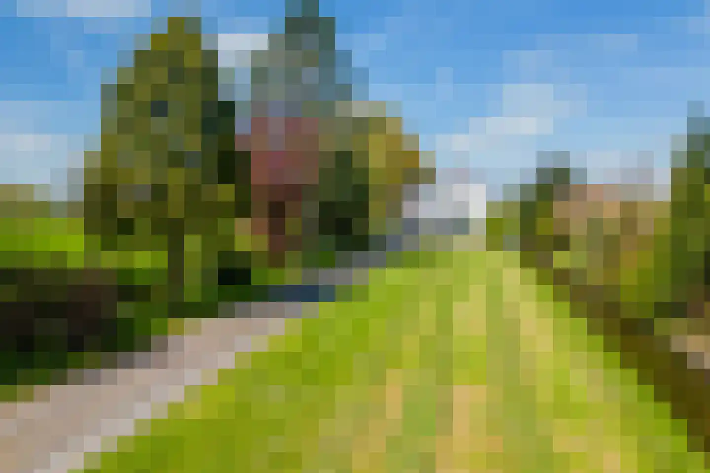 Driemolensweg 4 Lexmond foto 2