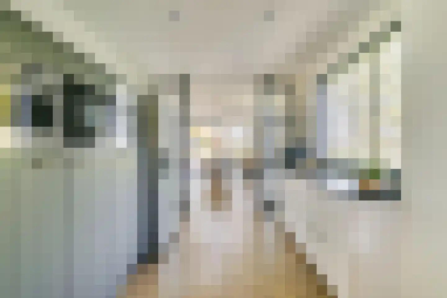 Driemolensweg 4 Lexmond thumbnail 21