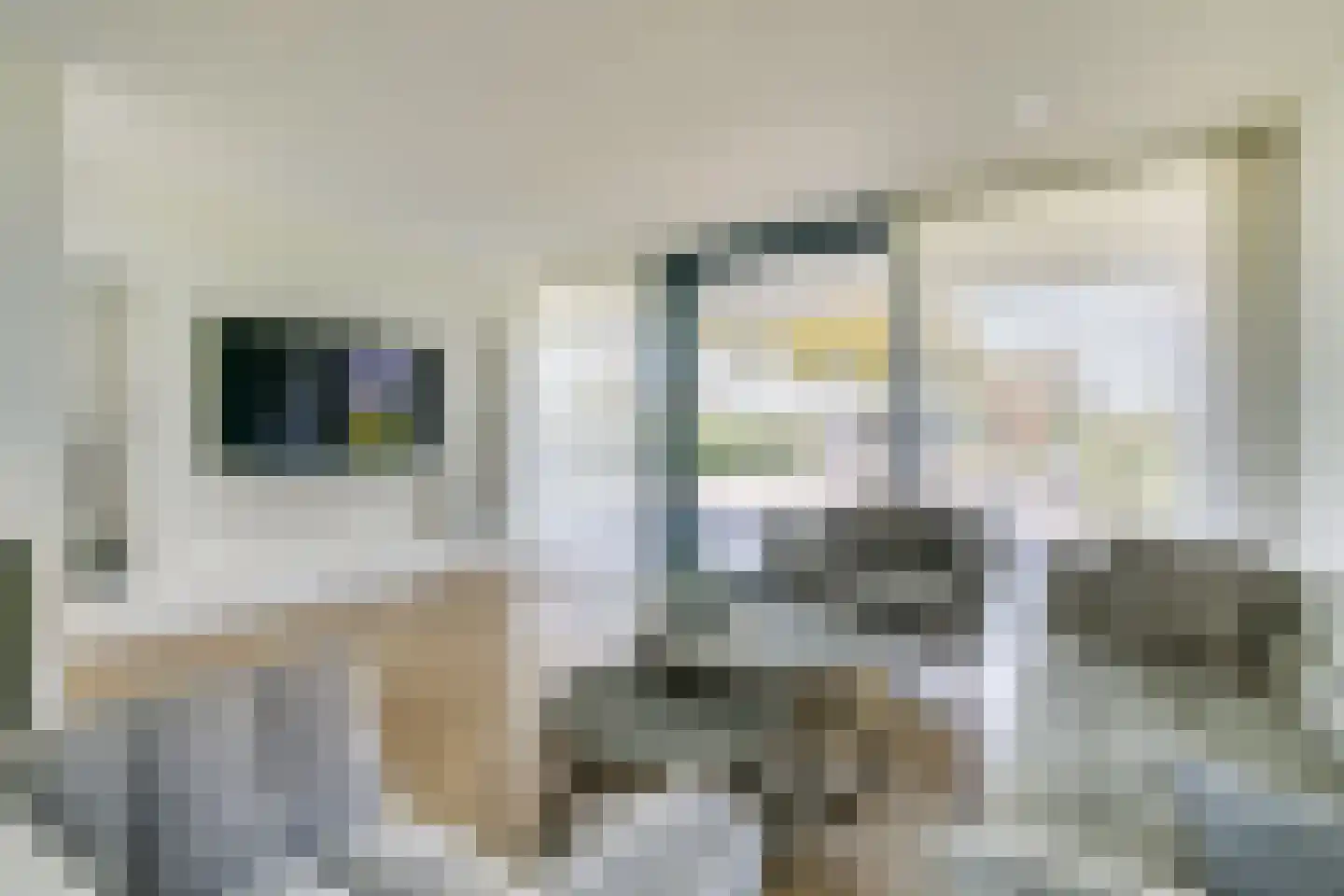 Driemolensweg 4 Lexmond thumbnail 24