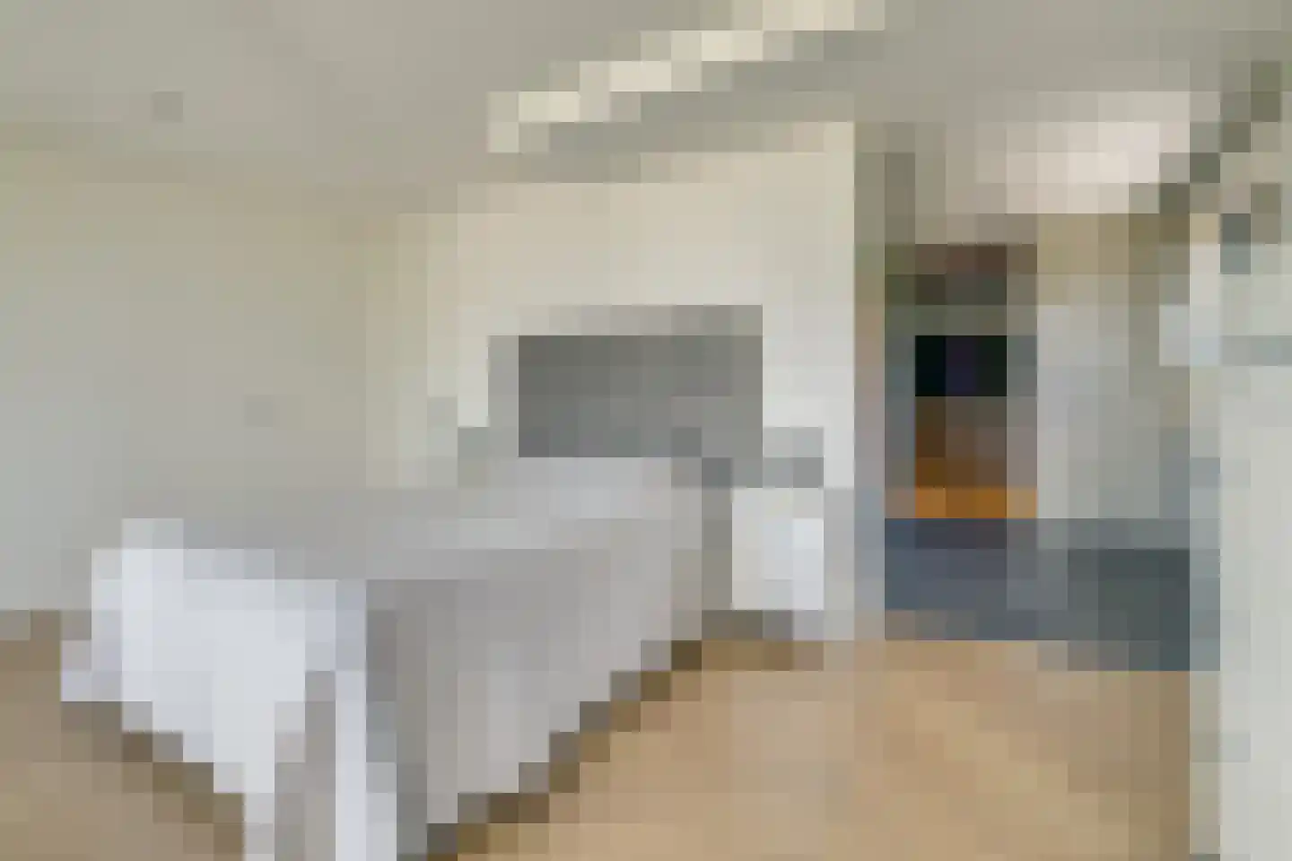Driemolensweg 4 Lexmond thumbnail 32