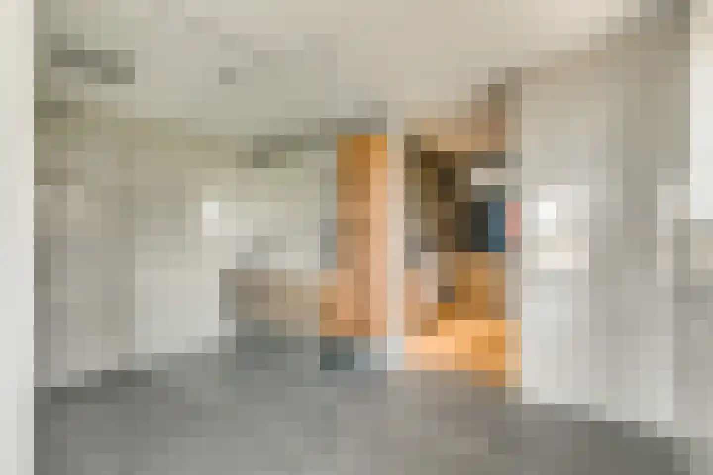 Driemolensweg 4 Lexmond thumbnail 33