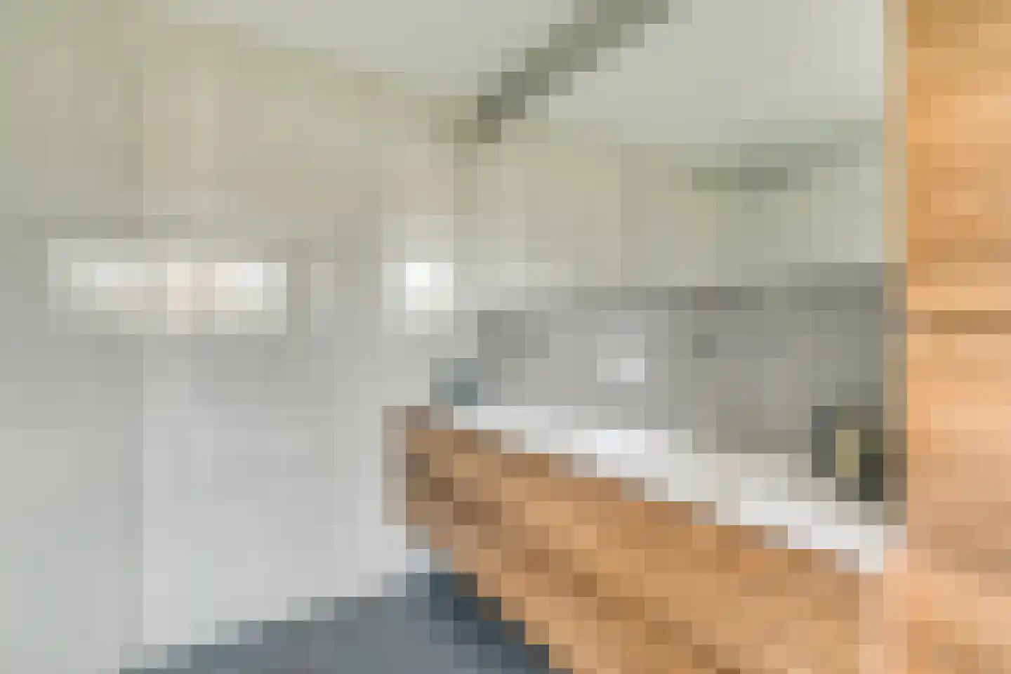 Driemolensweg 4 Lexmond thumbnail 35