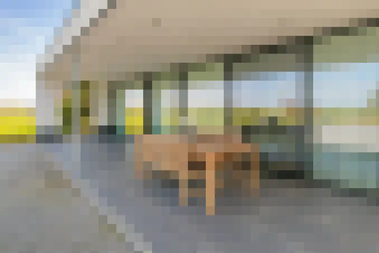 Driemolensweg 4 Lexmond thumbnail 38