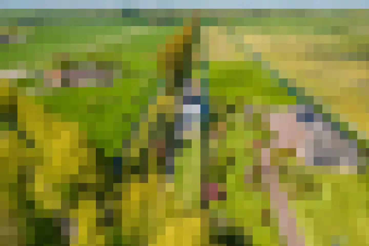 Driemolensweg 4 Lexmond thumbnail 4
