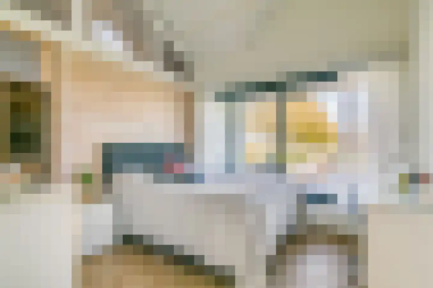 Driemolensweg 4 Lexmond thumbnail 41