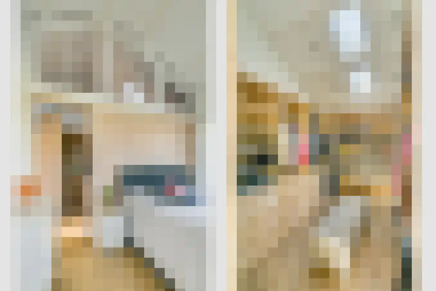 Driemolensweg 4 Lexmond thumbnail 44
