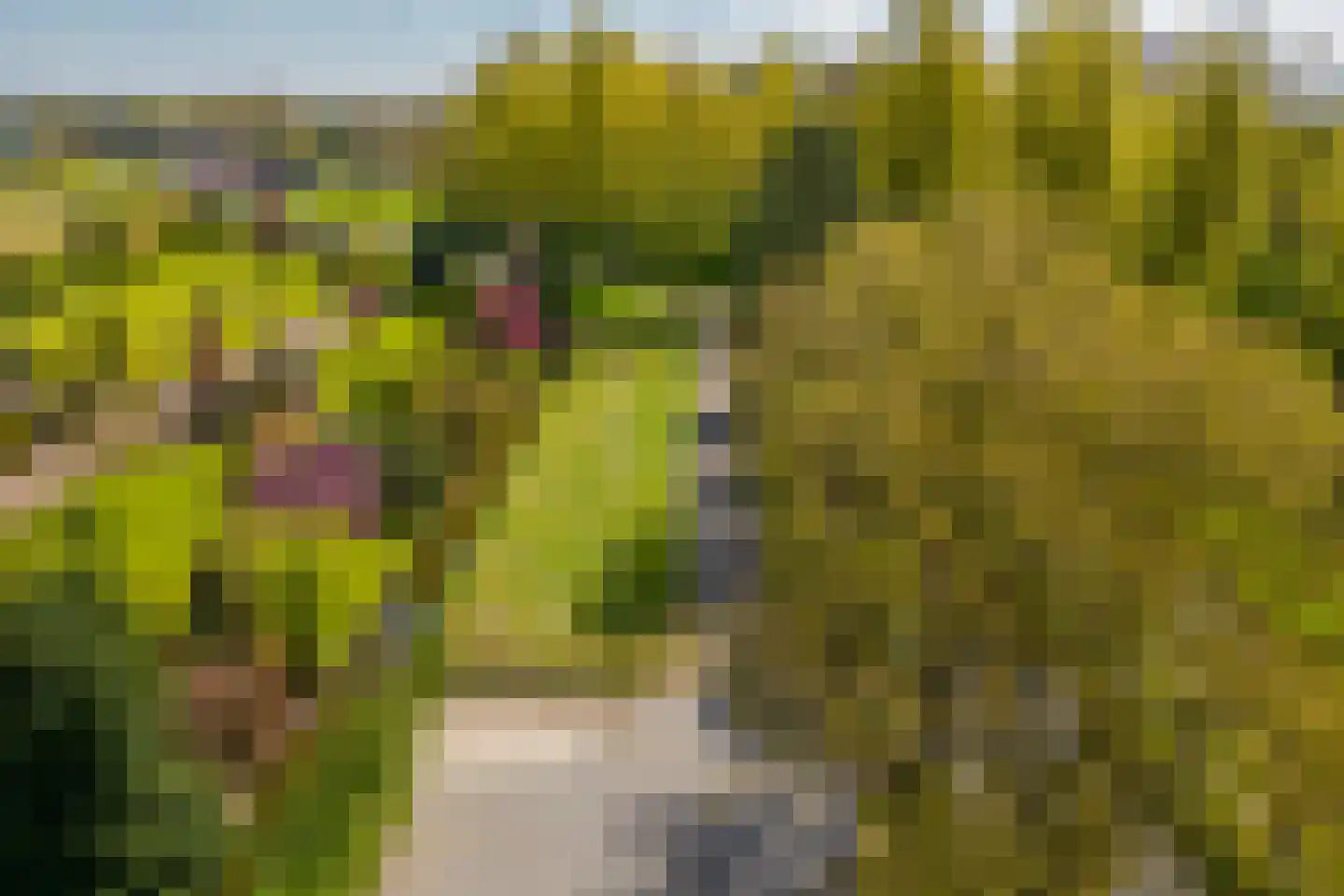 Driemolensweg 4 Lexmond thumbnail 5