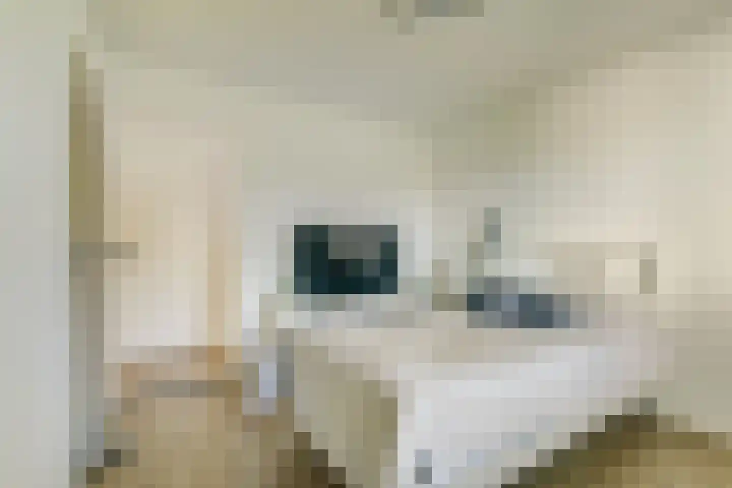 Driemolensweg 4 Lexmond thumbnail 50