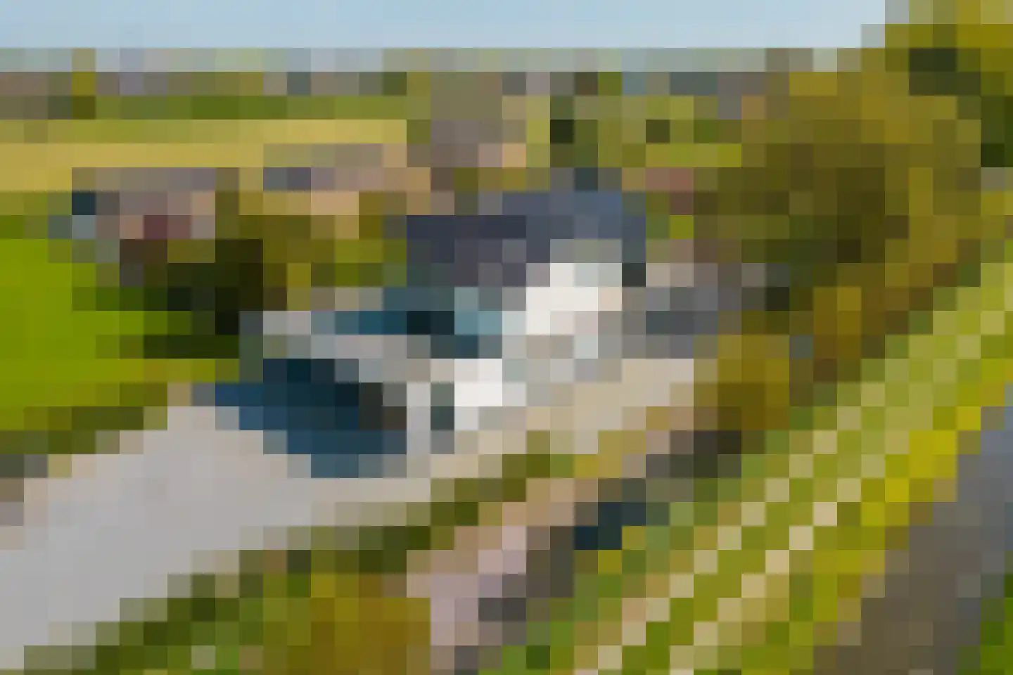 Driemolensweg 4 Lexmond thumbnail 59
