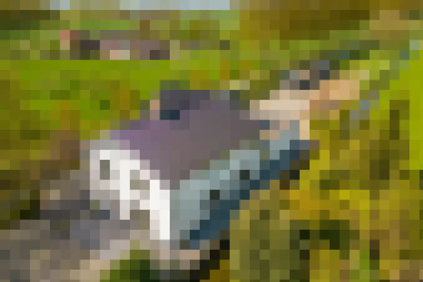 Driemolensweg 4 Lexmond thumbnail 6