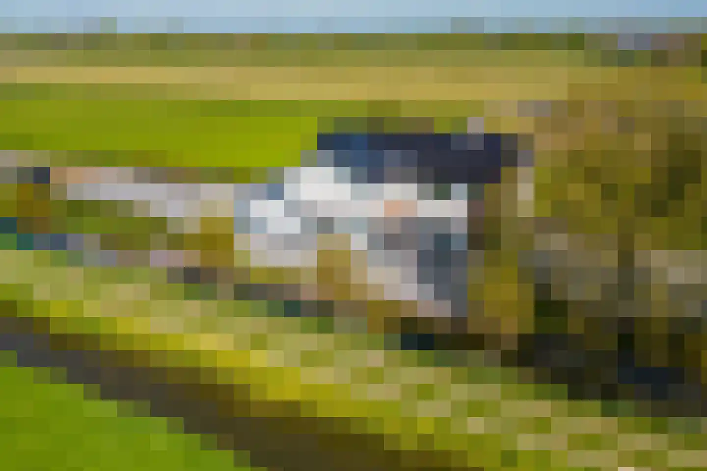 Driemolensweg 4 Lexmond thumbnail 60