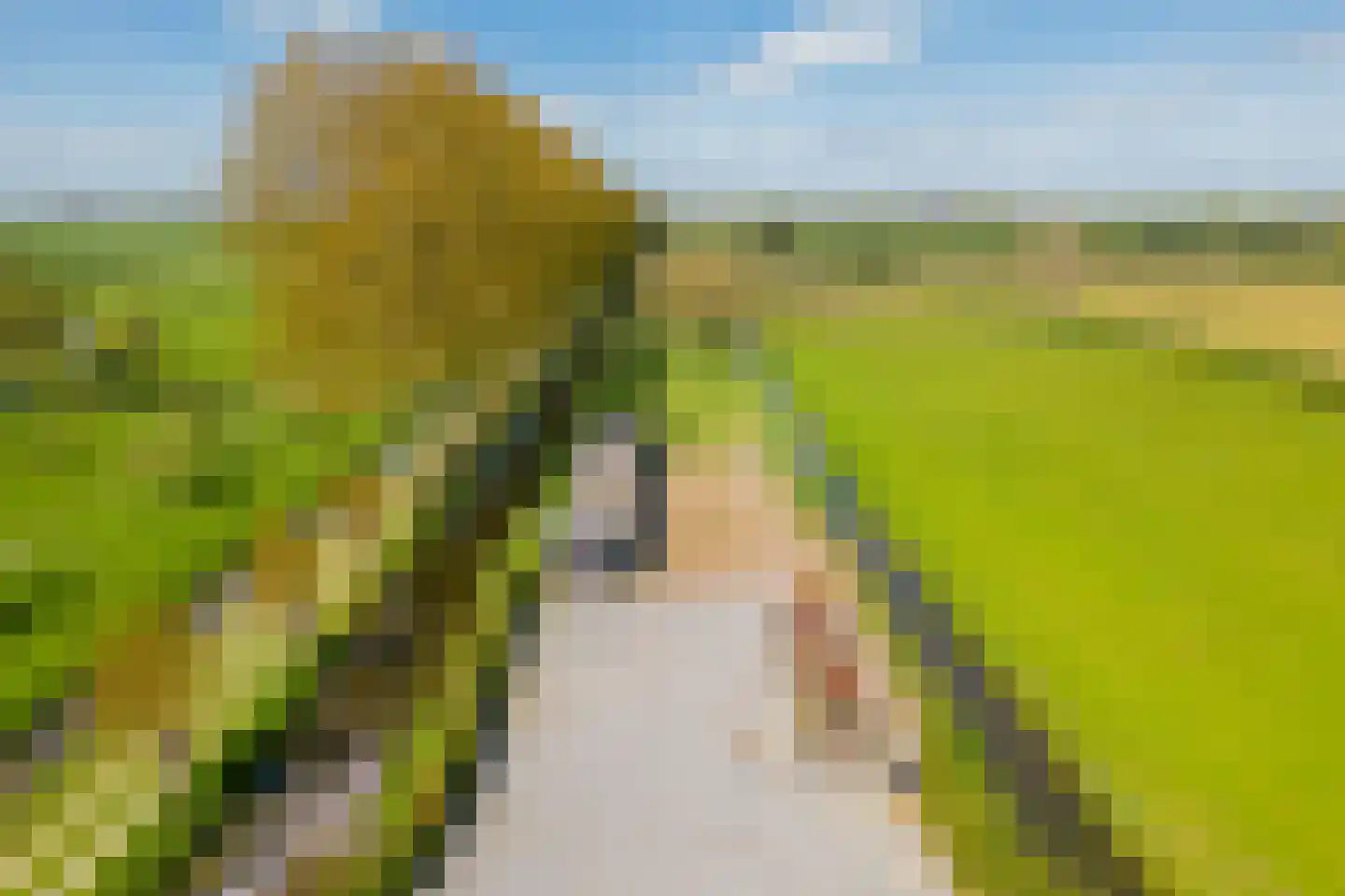 Driemolensweg 4 Lexmond thumbnail 61