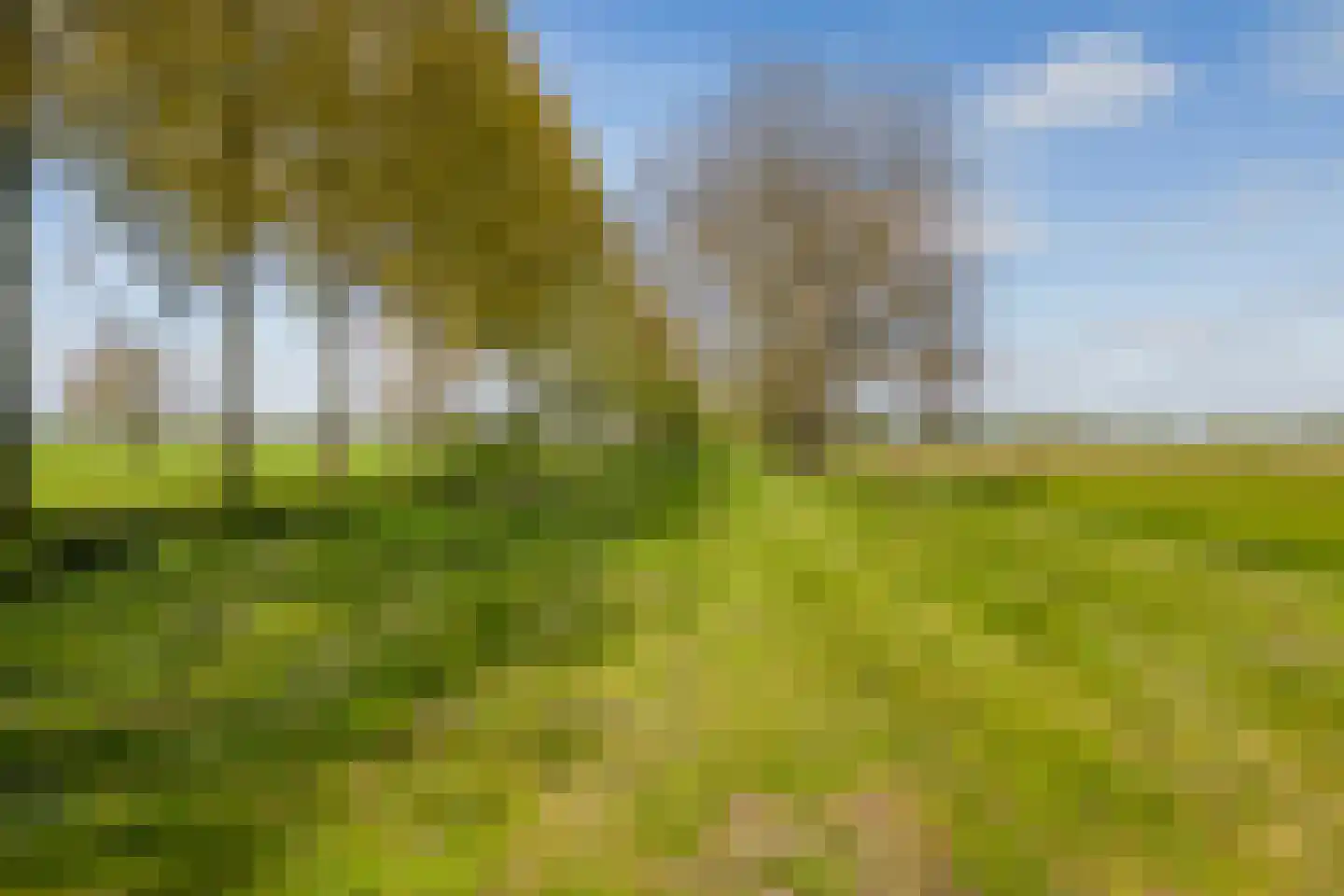 Driemolensweg 4 Lexmond thumbnail 64