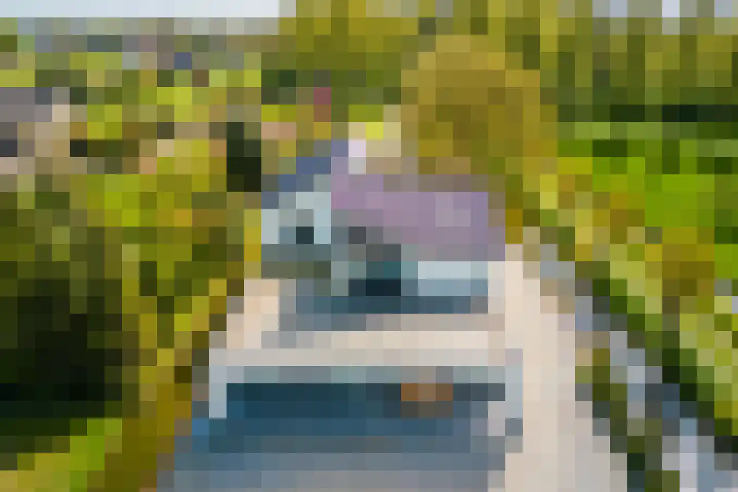 Driemolensweg 4 Lexmond thumbnail 66