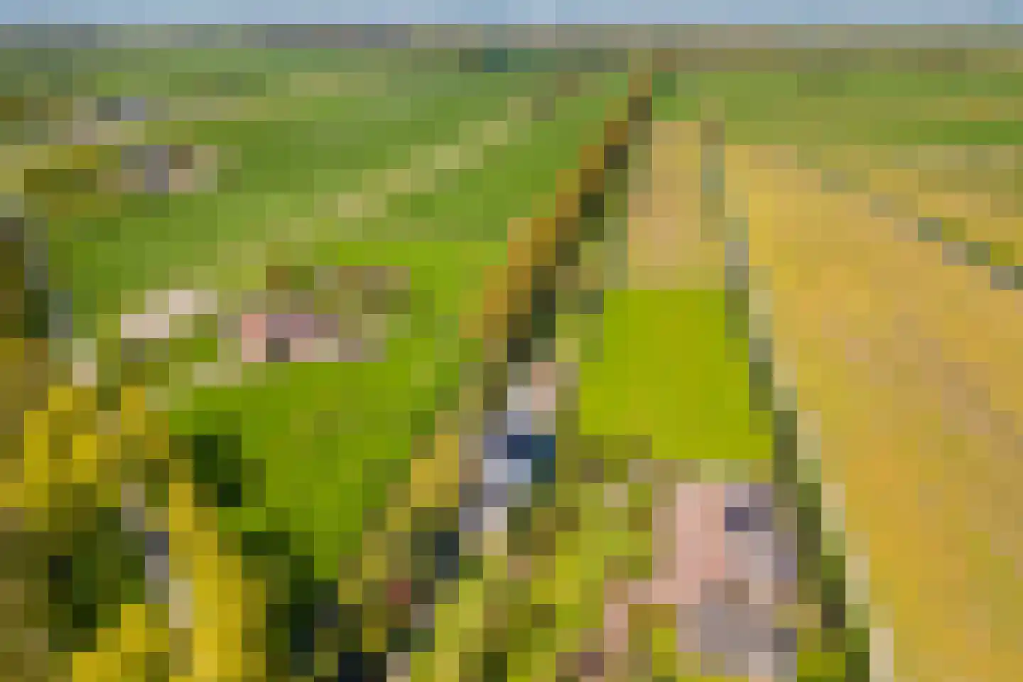 Driemolensweg 4 Lexmond thumbnail 67