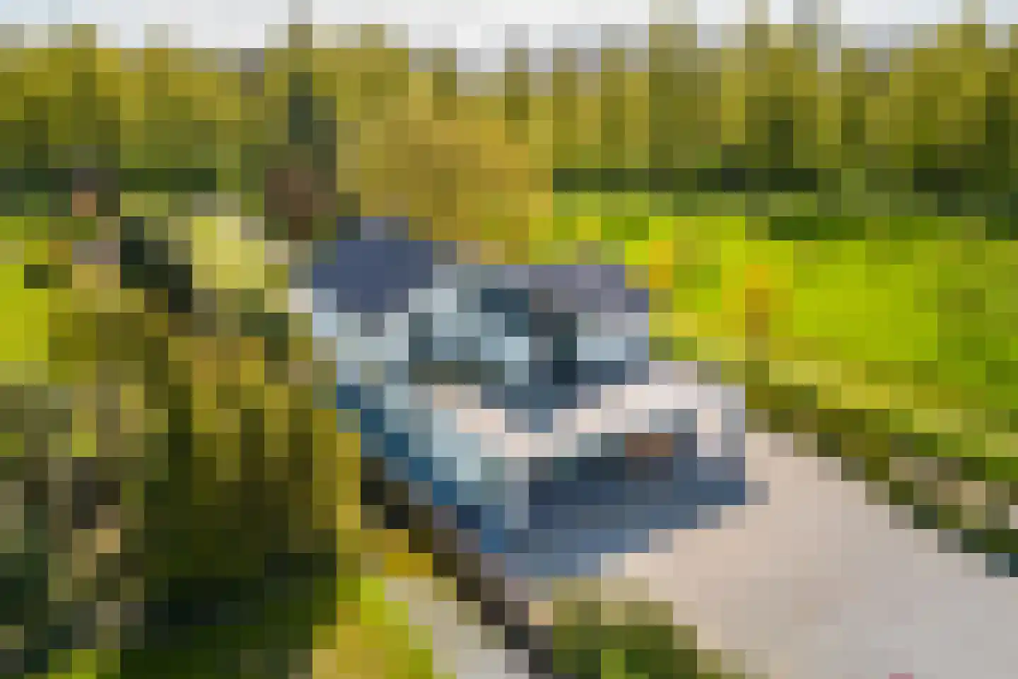 Driemolensweg 4 Lexmond thumbnail 7
